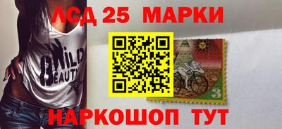 ГАЛЛЮЦИНОГЕННЫЕ ГРИБЫ Кандалакша