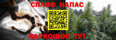 ГАЛЛЮЦИНОГЕННЫЕ ГРИБЫ Кандалакша
