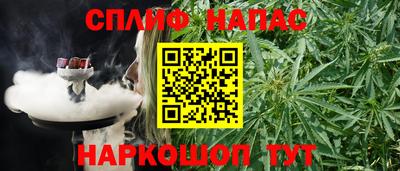 ГАЛЛЮЦИНОГЕННЫЕ ГРИБЫ Кандалакша