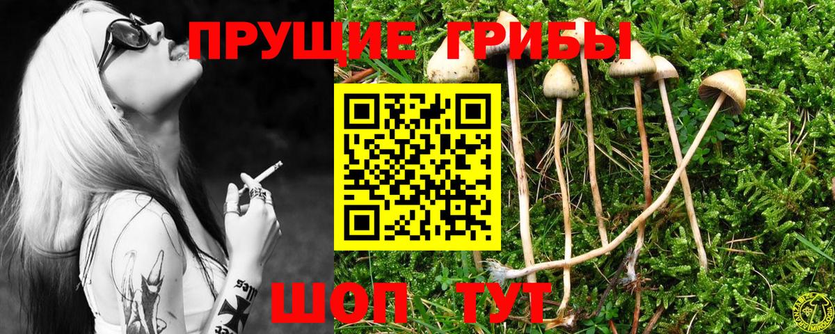 Псилоцибиновые грибы Psilocybine cubensis  Вход с VPN  Муравленко 
